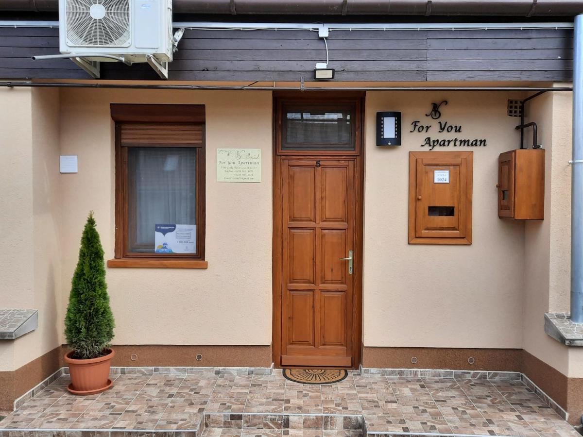 For You Apartman Gyula Exteriér fotografie