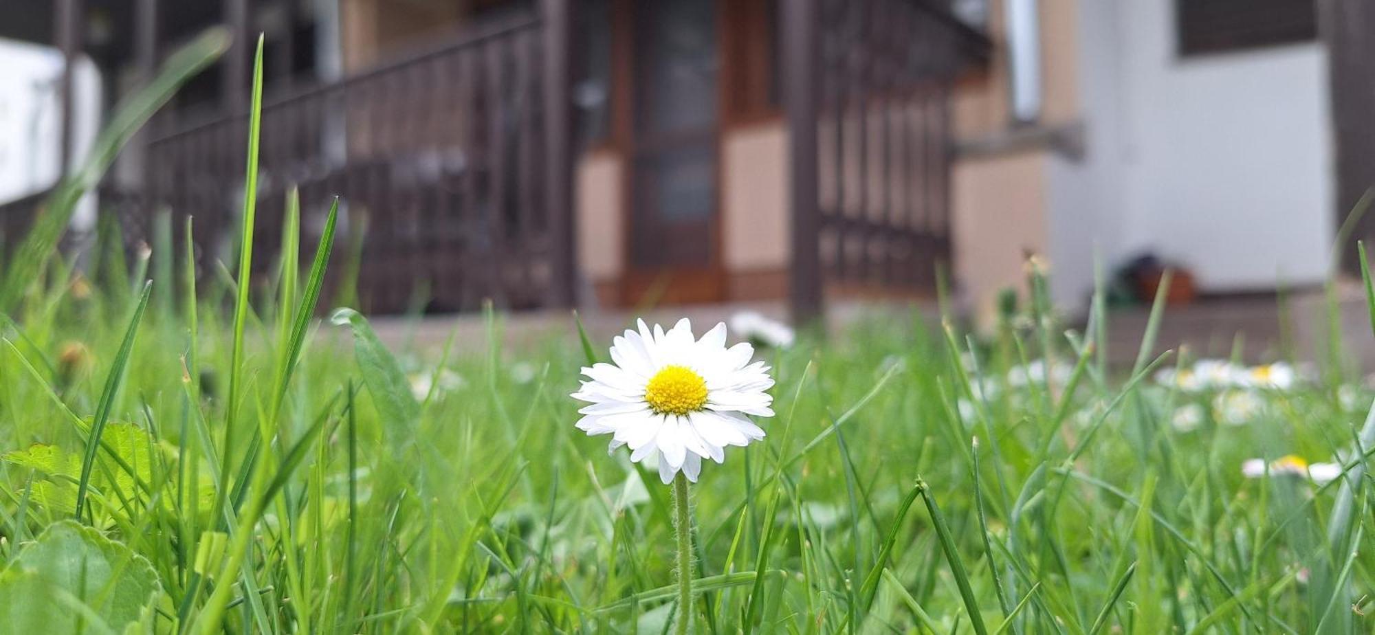 For You Apartman Gyula Exteriér fotografie